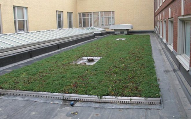 boston latin school, sustainable roof, green roof, studio g architects, living laboratory, boston