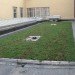boston latin school, sustainable roof, green roof, studio g architects, living laboratory, boston