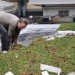 boston latin school, sustainable roof, green roof, studio g architects, living laboratory, boston