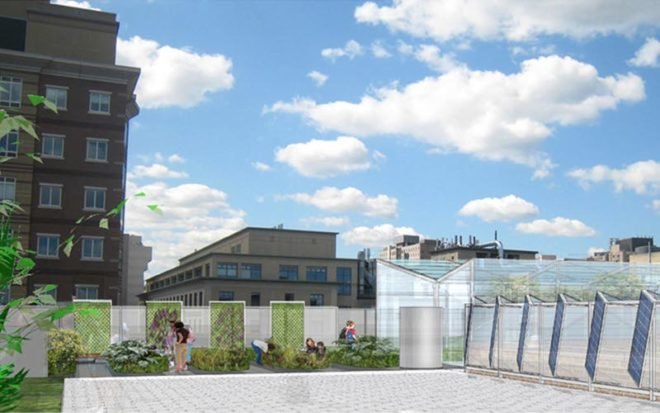 boston latin school, sustainable roof, green roof, studio g architects, living laboratory, boston