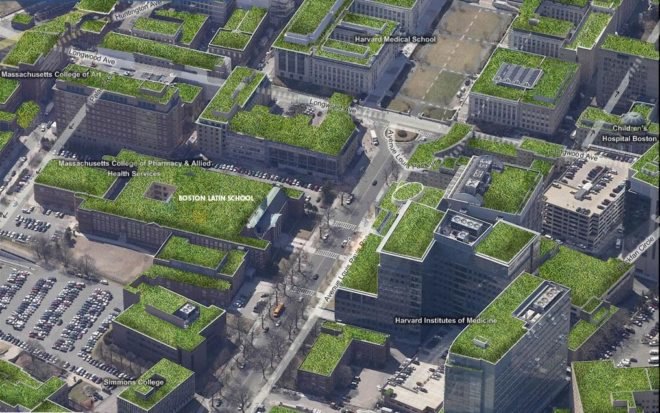 boston latin school, sustainable roof, green roof, studio g architects, living laboratory, boston