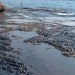 bp oil spill, deepwater horizon oil spill, gulf of mexico, gulf oil plume, Gulf oil spill, oil plume, oil spill, plume, woods hole oceanographic institute, Terry Hazen, Lawrence Berkeley National Laboratory, science, scientists, microbes, bacteria, microbes ate oil plume, oil eating microbes