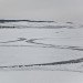 sustainable design, green design, lake baikal, eco art, land art, jim denevan, anthropologie