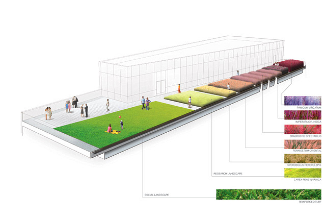 diana center, barnard college, green roof, green architecture, weiss manfredi, nyc