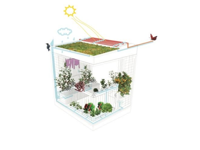 the plant room, new zealand, prefab, urban gardening, apartment addition