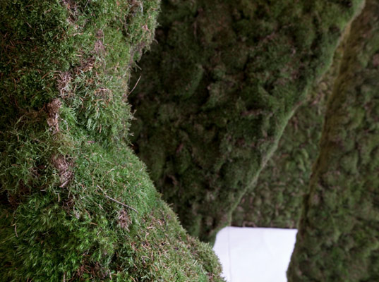 Guerrilla Gardening, Moss your city, Pushak, norway, london, the architecture foundation, green design, sustainable design, eco design