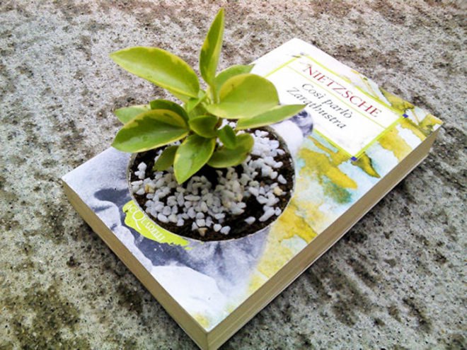 Book planter, hardcover book planter, planter book, DIY book garden planter