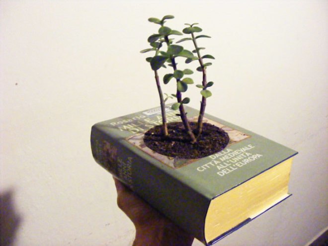 Book planter, hardcover book planter, planter book, DIY book garden planter