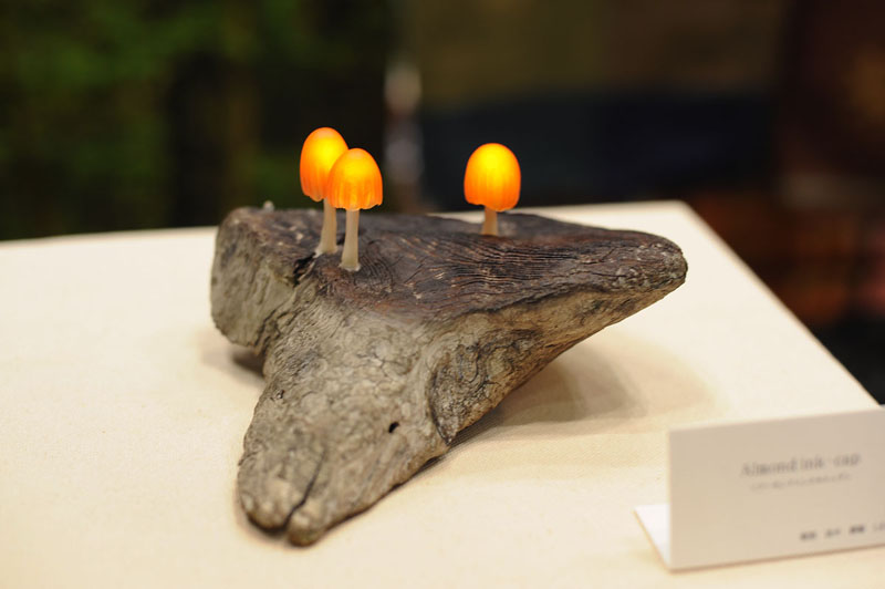 Great mushrooming, led lights, green lamps, reclaimed wood, reclaimed wood lamps