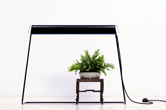 Florent coirier, lusamono, growing lamps, modern grow lamps, plant lamps, interior lamps, green lamps, gardening lamps. Lighting, green lighting