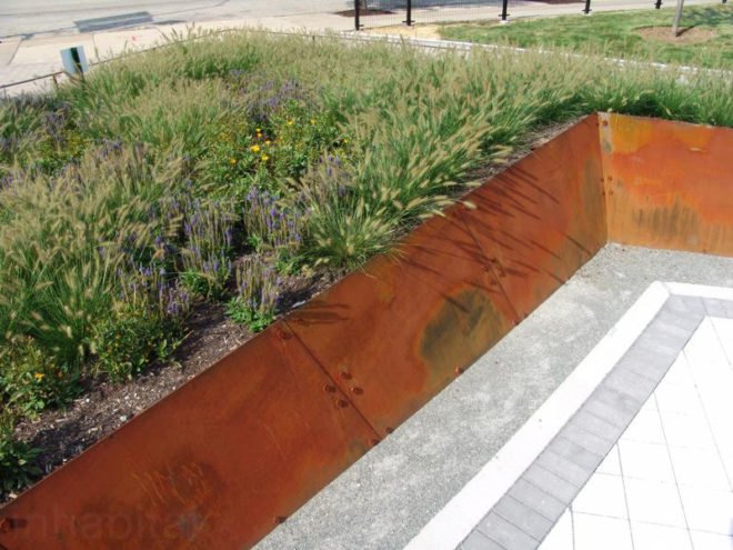 site design group, misting, park 542, West loop park, greek town park, Chicgao Park, native grass, dog park, recycled tire, neighborhood renewal