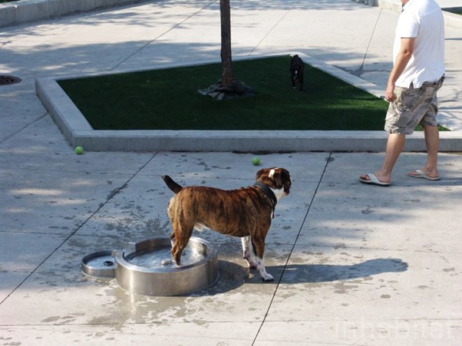 site design group, misting, park 542, West loop park, greek town park, Chicgao Park, native grass, dog park, recycled tire, neighborhood renewal