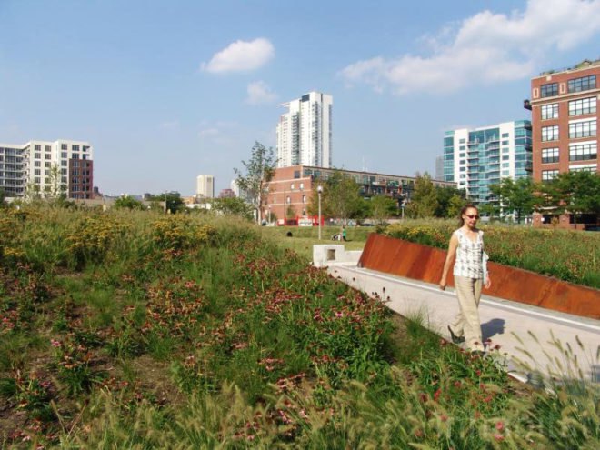 site design group, misting, park 542, West loop park, greek town park, Chicgao Park, native grass, dog park, recycled tire, neighborhood renewal