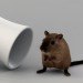 Green rat trap, green mouse trap, humane mouse trap, OneDown Rat Trap, Aakash Dewan