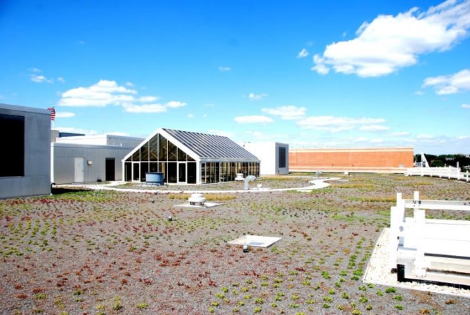 WWF, Green, Roof, World Wildlife Federation, plants, sedum, Washington D.C., largest, eco, green, sustainability, design, renovation, District of Columbia