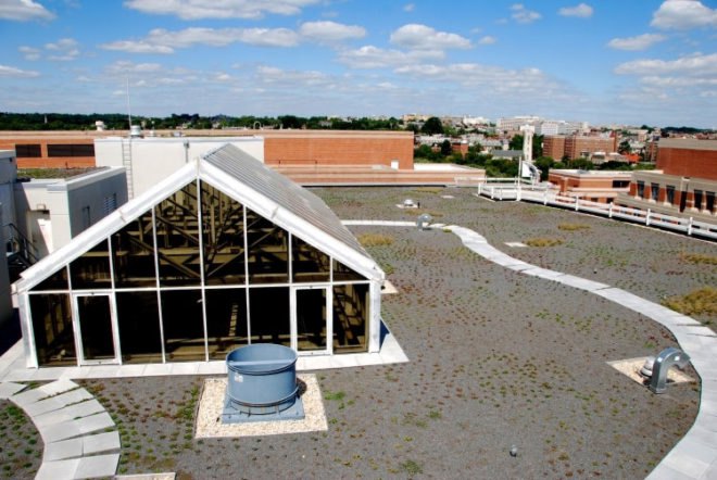 WWF, Green, Roof, World Wildlife Federation, plants, sedum, Washington D.C., largest, eco, green, sustainability, design, renovation, District of Columbia