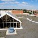 WWF, Green, Roof, World Wildlife Federation, plants, sedum, Washington D.C., largest, eco, green, sustainability, design, renovation, District of Columbia