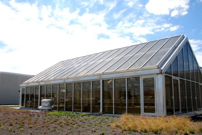 WWF, Green, Roof, World Wildlife Federation, plants, sedum, Washington D.C., largest, eco, green, sustainability, design, renovation, District of Columbia