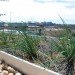 WWF, Green, Roof, World Wildlife Federation, plants, sedum, Washington D.C., largest, eco, green, sustainability, design, renovation, District of Columbia