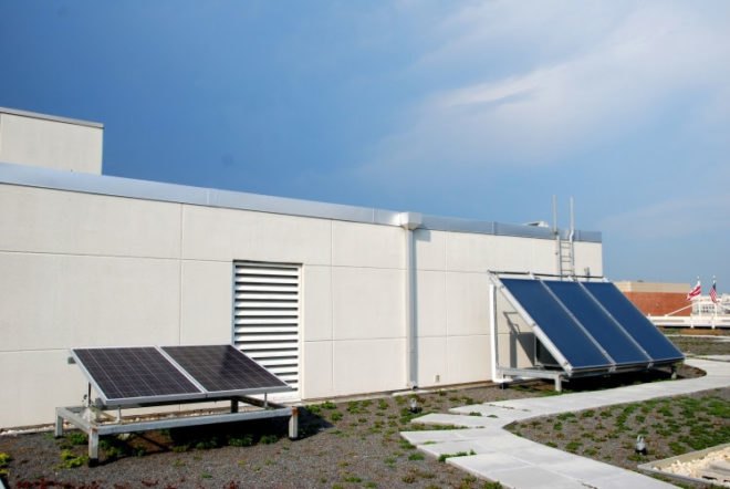 WWF, Green, Roof, World Wildlife Federation, plants, sedum, Washington D.C., largest, eco, green, sustainability, design, renovation, District of Columbia