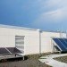 WWF, Green, Roof, World Wildlife Federation, plants, sedum, Washington D.C., largest, eco, green, sustainability, design, renovation, District of Columbia