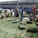 PARK(ing) Day, Chicago, PARKing day, renegade parking space reclamation, urban renovation, urban design, reclaim the streets, green design, green urbanism, eco design, inhabitat