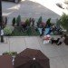 PARK(ing) Day, Chicago, PARKing day, renegade parking space reclamation, urban renovation, urban design, reclaim the streets, green design, green urbanism, eco design, inhabitat