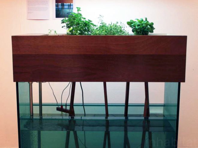 sustainable design, green design, sustain 2010, rca, royal college of art, london design festival, green furniture, green interiors
