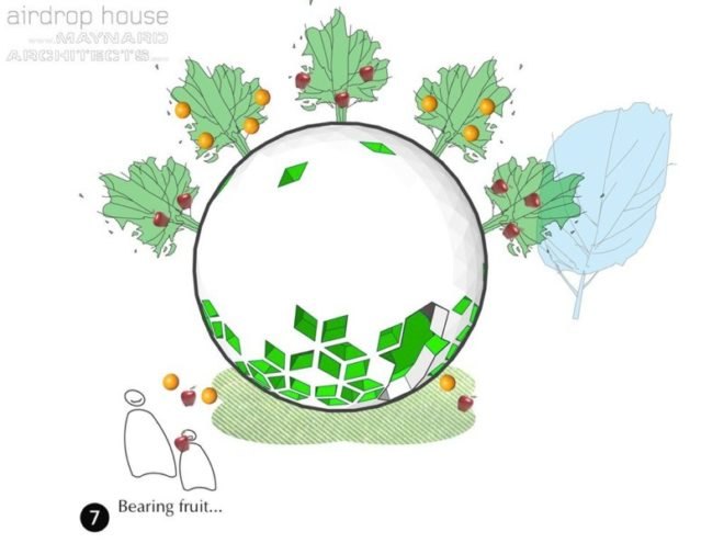 andrew maynard architects, air drop house, emergency housing, disaster relief, green design, sustainable architecture