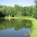 bat tower, joyce hwang, university at buffalo, griffis sculpture park, pest architecture, green design, sustainable architecture