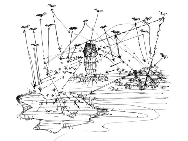bat tower, joyce hwang, university at buffalo, griffis sculpture park, pest architecture, green design, sustainable architecture