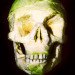 fruit skulls, eco art, Dimitri Tsykalov, recycled materials, gardening, fruit carving, skulls
