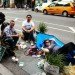 PARK(ing) Day, San Francisco, PARKing day, renegade parking space reclamation, urban renovation, urban design, reclaim the streets, green design, green urbanism, eco design, inhabitat