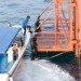 seaventures dive resort, reclaimed oil rig, green renovation, green design, sustainable design