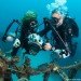 seaventures dive resort, reclaimed oil rig, green renovation, green design, sustainable design