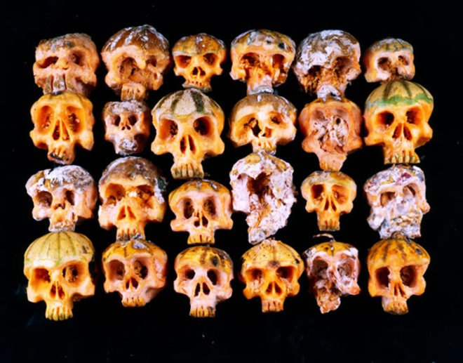 fruit skulls, eco art, Dimitri Tsykalov, recycled materials, gardening, fruit carving, skulls
