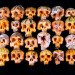 fruit skulls, eco art, Dimitri Tsykalov, recycled materials, gardening, fruit carving, skulls