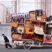 totems, alain delorme, bike transport, art, eco art, photography, shanghai, "made in china"