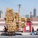 totems, alain delorme, bike transport, art, eco art, photography, shanghai, "made in china"
