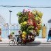 totems, alain delorme, bike transport, art, eco art, photography, shanghai, "made in china"