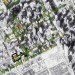Yi Huang, Tian Tan & Xu Zhang, green roof city, chicago, green roof, green building, green architecture, eco architecture, sustainable architecture, green design, roof garden, roof farm, vertical farm