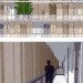 Yi Huang, Tian Tan & Xu Zhang, green roof city, chicago, green roof, green building, green architecture, eco architecture, sustainable architecture, green design, roof garden, roof farm, vertical farm