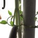 sono mocci, green bike chain, ivy bike chain, nature inspired design, bike locks, cool bike locks