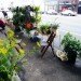 PARK(ing) Day, San Francisco, PARKing day, renegade parking space reclamation, urban renovation, urban design, reclaim the streets, green design, green urbanism, eco design, inhabitat