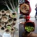 PARK(ing) Day, San Francisco, PARKing day, renegade parking space reclamation, urban renovation, urban design, reclaim the streets, green design, green urbanism, eco design, inhabitat