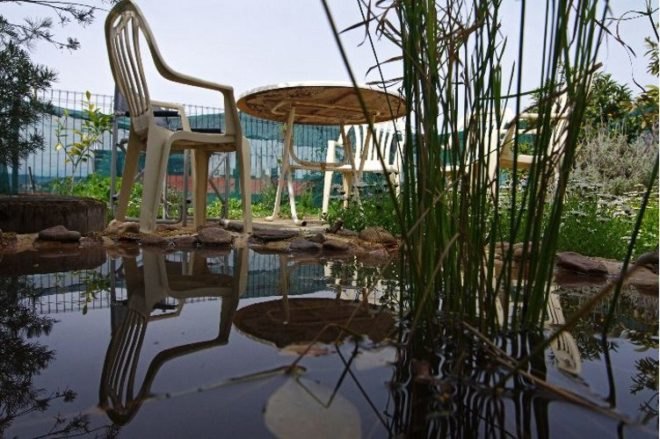 rainwater collection, rooftop garden, straw bail cottage,Urban Ecology Australia, Ecopolis architects, Green Building, Australia green building, Adelaide green building, ecotown, eco development, green urban living,