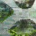 jds architects, julien de smedt, green architecture, eco architecture, sustainable architecture, sustainable design, green design, wind power, wind energy, green space, urban forest, shenzhen, vertical city, logistic city, shenzhen logistic city