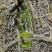 agoras project, istanbul, global architectural development, mixed-use development, green design, sustainable architecture