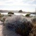 belles townhomes, kieran timberlake, livinghomes, presidio, san francisco, modular housing, green design, sustainable architecture