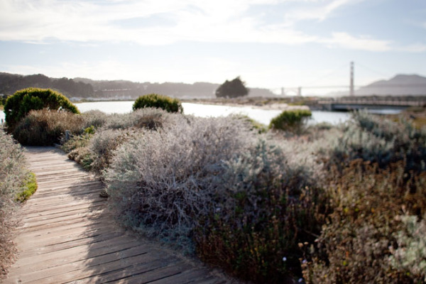 belles townhomes, kieran timberlake, livinghomes, presidio, san francisco, modular housing, green design, sustainable architecture